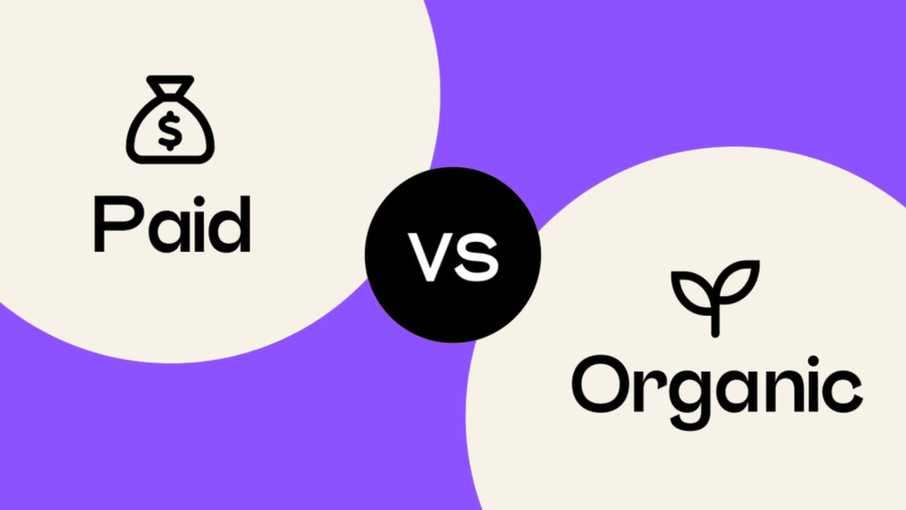 Paid Ads vs. Organic Marketing: Which Should You Choose?